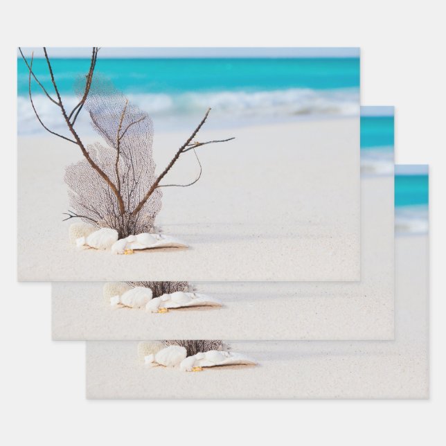 Feuille De Papier Cadeau Plage de sable avec coquillages blancs (Lot)