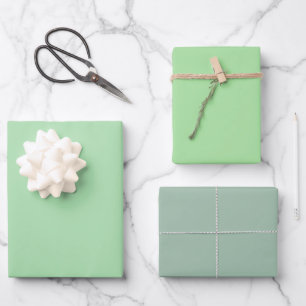 Feuille De Papier Cadeau Plain Celadon Pomme Cambridge Green Tons 3