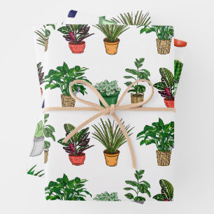 Feuille De Papier Cadeau Plantes domestiques dessinées à la main Anniversai