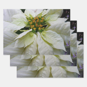 Feuille De Papier Cadeau Poinsettia Elegant Christmas Holiday Floral