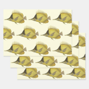Feuille De Papier Cadeau Poisson Chelmon Longirostris Tropical Jaune, Poiss