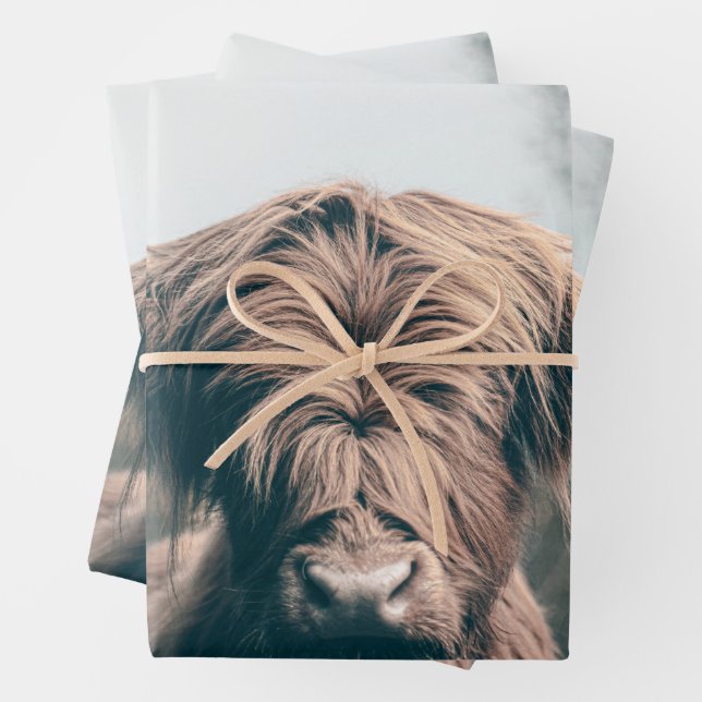 Feuille De Papier Cadeau Portrait de vache Highland (En situation)