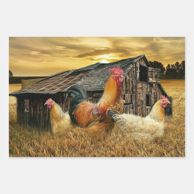 Feuille De Papier Cadeau Poules de coq Russe Grotte Coop (Devant)
