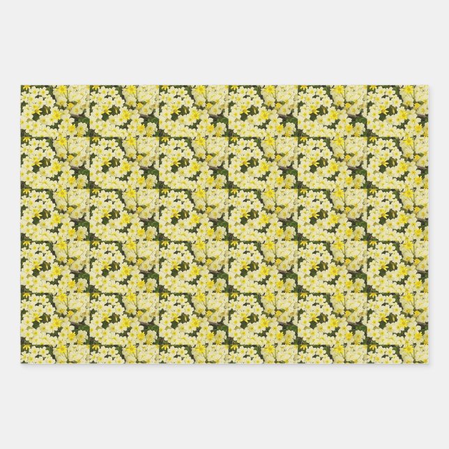 Feuille De Papier Cadeau Primroses du printemps (Devant)
