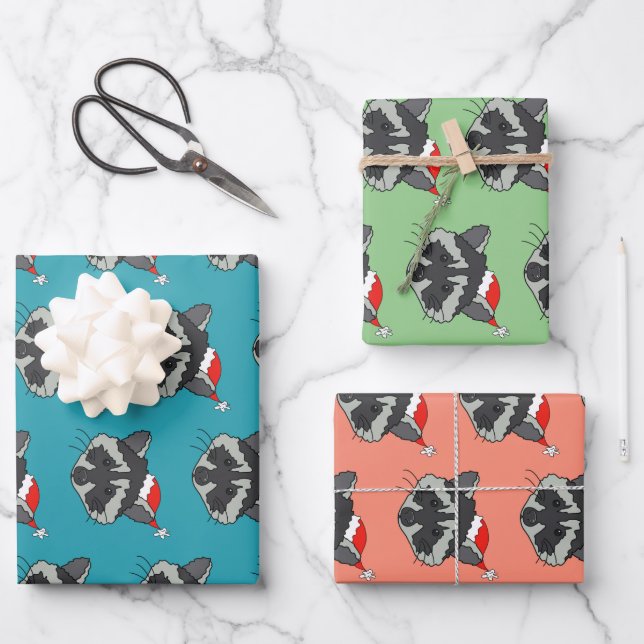Feuille De Papier Cadeau Raccoon de Noël  (Recto)