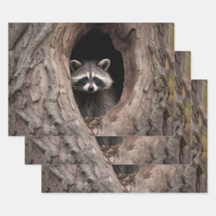 Feuille De Papier Cadeau Racon dans la grotte des arbres