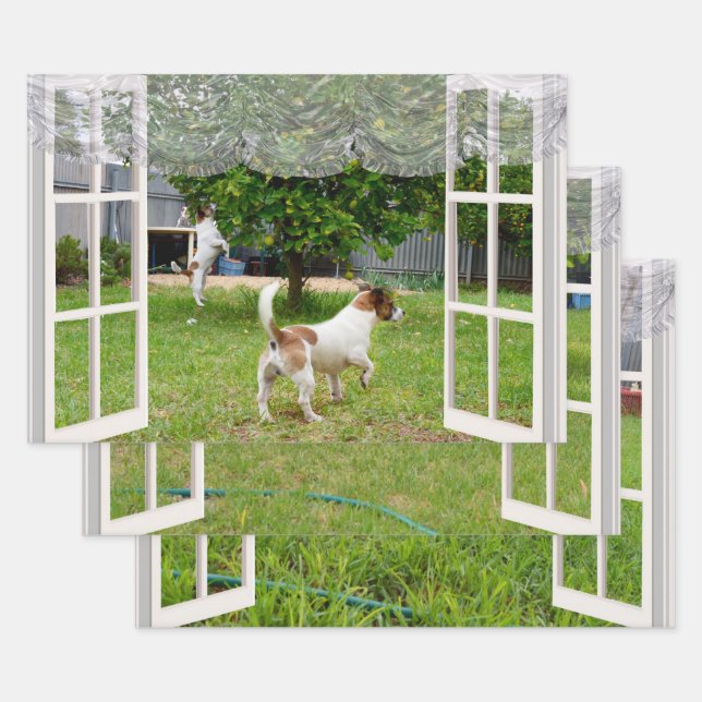 Feuille De Papier Cadeau Renard Terriers À La Découverte Du Jardin, (Lot)