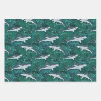 Requins, marine, mer, poisson, prédateur, animal,