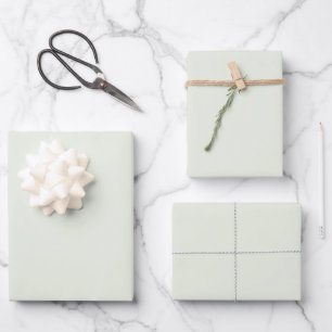 Feuille De Papier Cadeau Ressort Whisper vert couleur solide