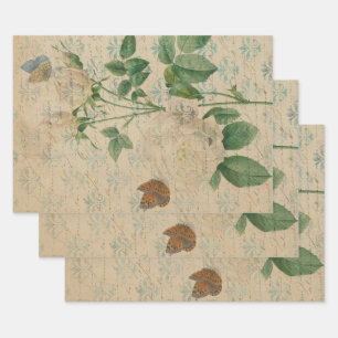 Feuille De Papier Cadeau Rose blanche vintage et papillon