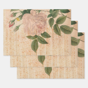 Feuille De Papier Cadeau Rose vintage rose clair et musique