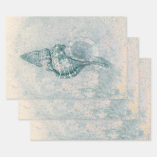 Feuille De Papier Cadeau Sea Shell Turquoise Beige Vintage Ocean Beach Text