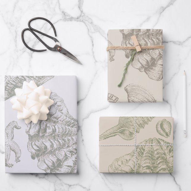 Feuille De Papier Cadeau Seashell Soft Antique Art Beach Shops (Recto)