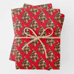 Feuille De Papier Cadeau Sept Carlins-à-Poser