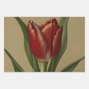 Feuille De Papier Cadeau Shabby Chic Jolie Tulipe Rouge