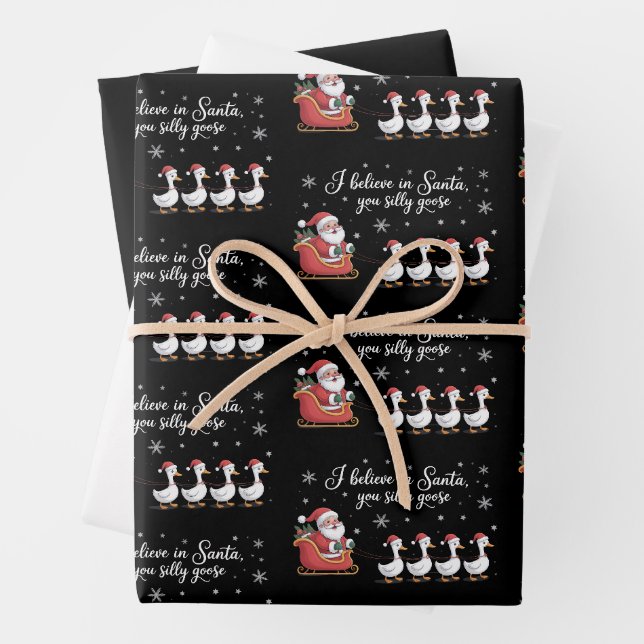 Feuille De Papier Cadeau Silly Goose Christmas I Believe in Santa Funny (En situation)