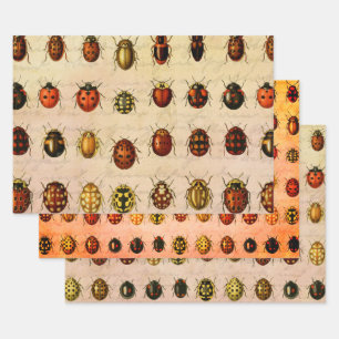 Feuille De Papier Cadeau Spécimen de coccinelle vintage Motif Insecte antiq