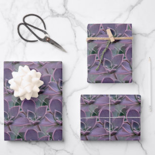 Feuille De Papier Cadeau Succulent pourpre