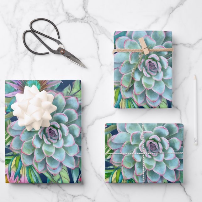 Feuille De Papier Cadeau Succulents Echeveria Cactus Motif (Recto)