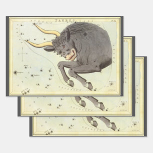 Feuille De Papier Cadeau Taurus Bull, le miroir Vintage de la constellation
