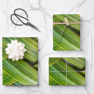 Feuille De Papier Cadeau Tissu de bambou vert frais