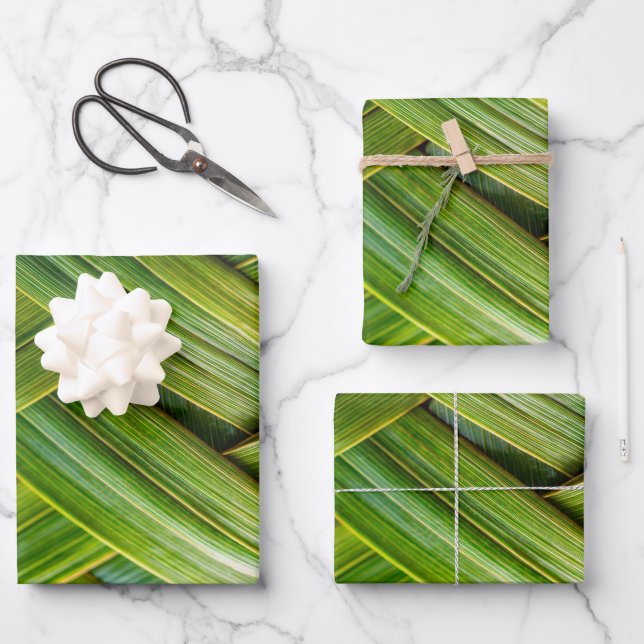 Feuille De Papier Cadeau Tissu de bambou vert frais (Recto)