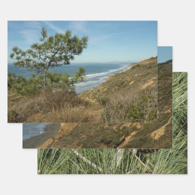 Feuille De Papier Cadeau Torrey Pine and California Coastline Landscape (Lot)