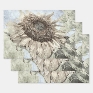 Feuille De Papier Cadeau Tournesol géant Jaune Pastel Chic Vintage Antique