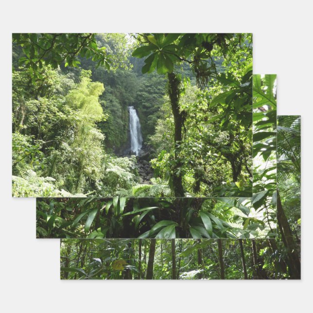 Feuille De Papier Cadeau Trafalgar Falls Tropical Rainforest Photographie (Lot)