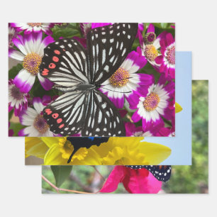 Feuille De Papier Cadeau Trois papillons sur de jolies fleurs