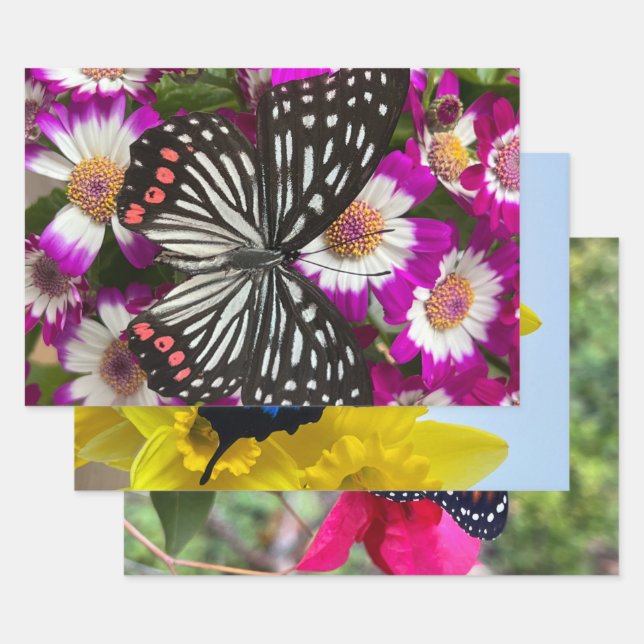 Feuille De Papier Cadeau Trois papillons sur de jolies fleurs (Lot)