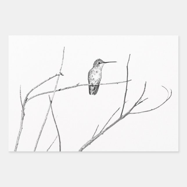 Feuille De Papier Cadeau Un colibri sur un bâton (Devant)