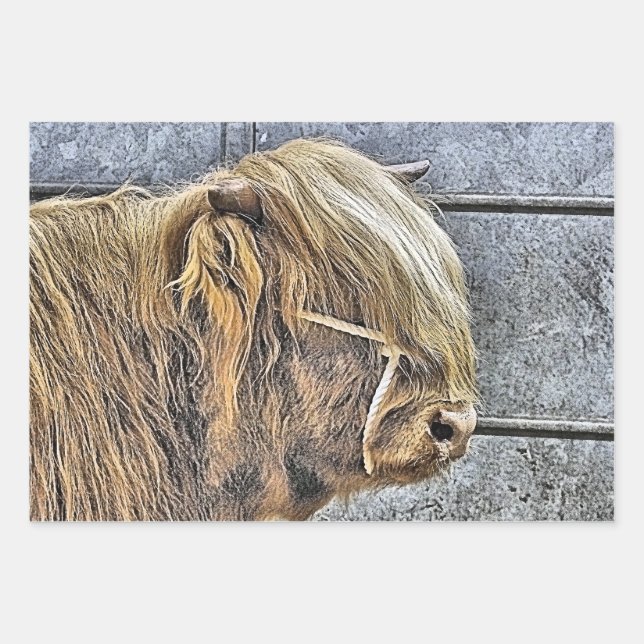 FEUILLE DE PAPIER CADEAU VACHE (Devant)