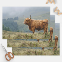 Vache des Highlands Matin Brumeux Découpage