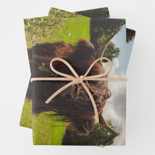 Feuille De Papier Cadeau Vache noire pâturage vert champ soleil (En situation)