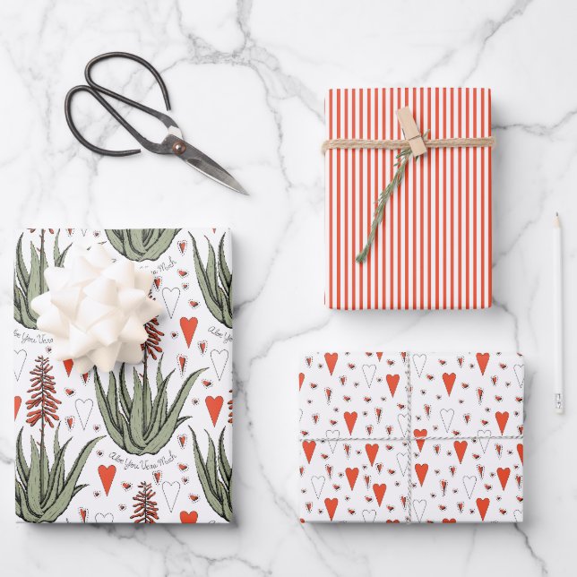 Feuille De Papier Cadeau Valentines Aloé Plante Succulents Grandes Carres (Recto)
