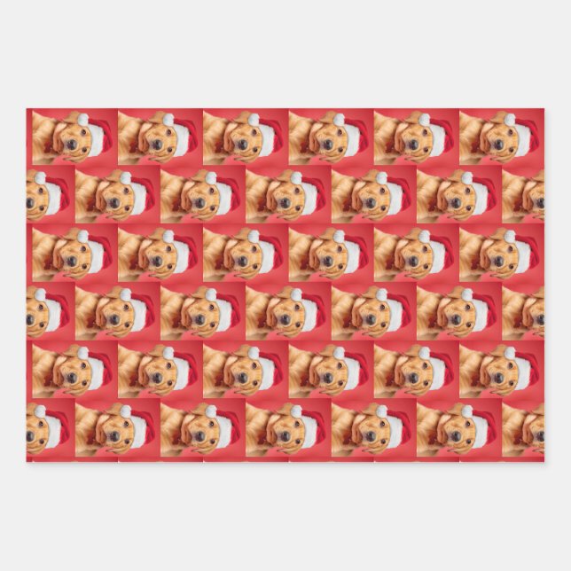 Feuille De Papier Cadeau Variété de chiots du Labrador (Devant)