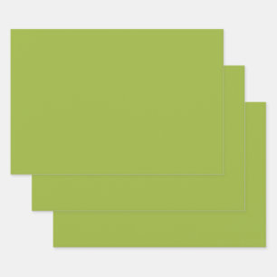 Feuille De Papier Cadeau Vert citron moyen (couleur solide) jaune-vert