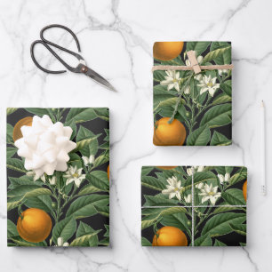 Feuille De Papier Cadeau Vintage Botanique Orange Fruit Blossom Noir