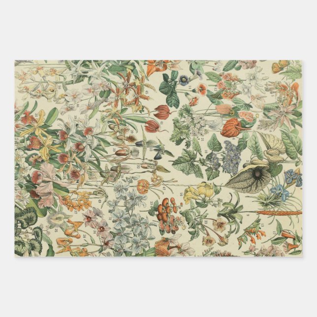 Feuille De Papier Cadeau Vintage Floral Rustique Élégant Botanique (Devant)