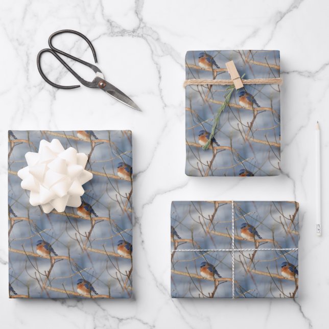 Feuille De Papier Cadeau Winter Bluebird Nature Motif (Recto)