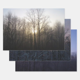 Feuille De Papier Cadeau Winter Fog Sunrise Nature Photographie