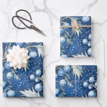 Winter Wonderland : Arbre de Noël bleu et blanc