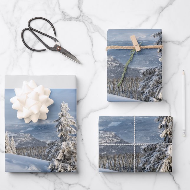 Feuille De Papier Cadeau Winter Wonderland lumière gris neige photo (Recto)
