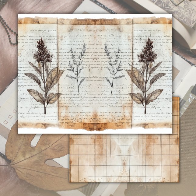 Feuille de papier de journal démodé de botanique a (Créateur téléchargé)