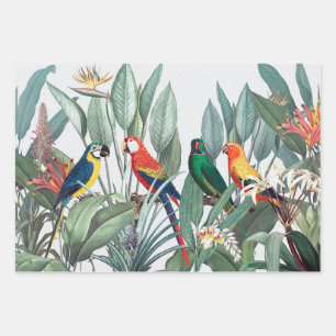 Feuille de papier d'enveloppement d'OISEAUX TROPIC