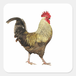 Feuille de Stickers Cock-A-Doodle-Doo