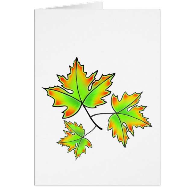 Feuille d'érable, botanique, rouge orange feuilles (Devant)