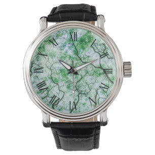 Feuille élégant pourtant éffrayant et montre des