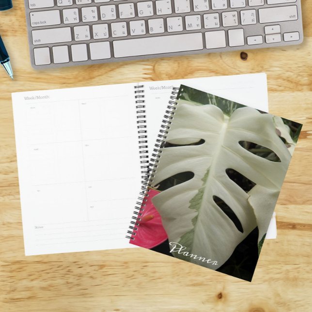 Feuille Florale de Monstera panachée (In Situ)